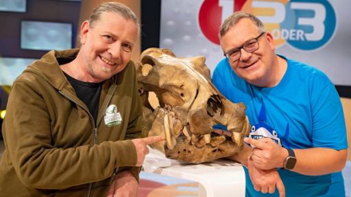 Dr. Markus Baur und Elton stehen an einem weißen Stehtisch. Auf dem Tisch steht zwischen ihnen ein großer Tierschädel. Beide zeigen auf die Zähne des Schädels.