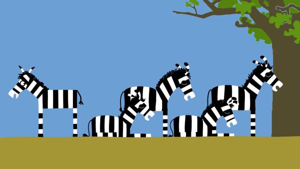 Die anderen Zebras wollen ihre Ruhe haben. | Rechte: KiKA/SWR/Studio FILM BILDER/Julia Ocker
