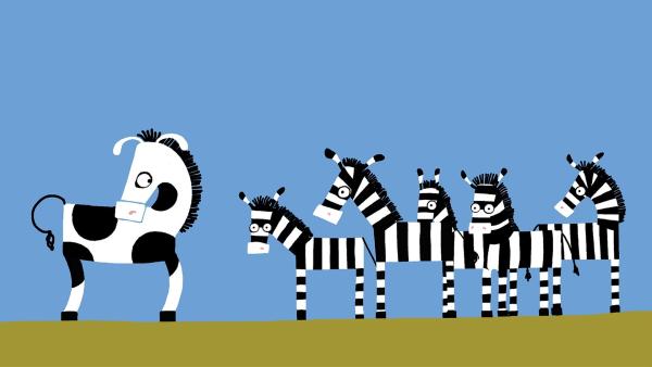Das Zebra merkt, dass es beobachtet wird. | Rechte: KiKA/SWR/Studio FILM BILDER/Julia Ocker