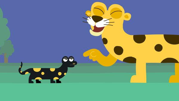 Der Leopard macht sich über den Feuersalamander lustig. | Rechte: KiKA/SWR/Studio FILM BILDER/Julia Ocker