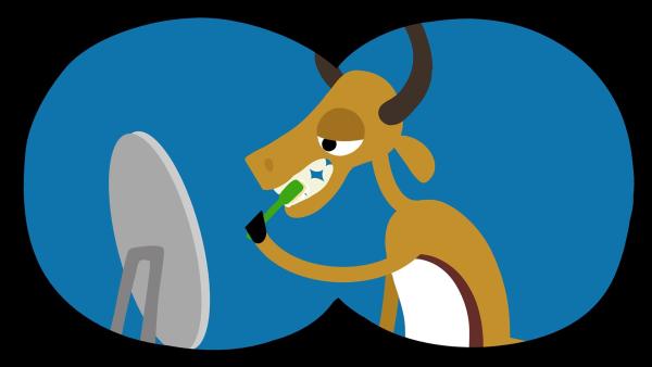 Die Gazelle merkt nicht, dass sie beobachtet wird. | Rechte: KiKA/SWR/Studio FILM BILDER/Julia Ocker