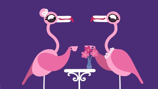 Die Flamingos genießen ihr Kaffeekränzchen. | Rechte: KiKA/SWR/Studio FILM BILDER/Julia Ocker