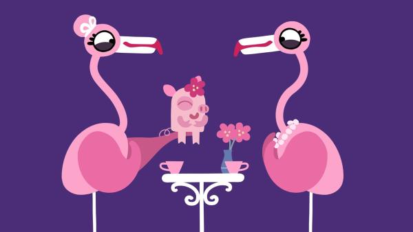 Die Flamingos sind ganz entzückt von dem niedlichen, kleinen Schweinchen. | Rechte: KiKA/SWR/Studio FILM BILDER/Julia Ocker