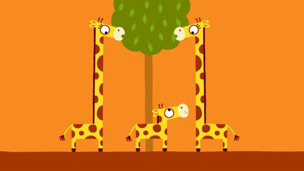 Die kleine Giraffe möchte gerne auch ein paar Blätter abhaben. | Rechte: KiKA/SWR/Studio FILM BILDER/Julia Ocker