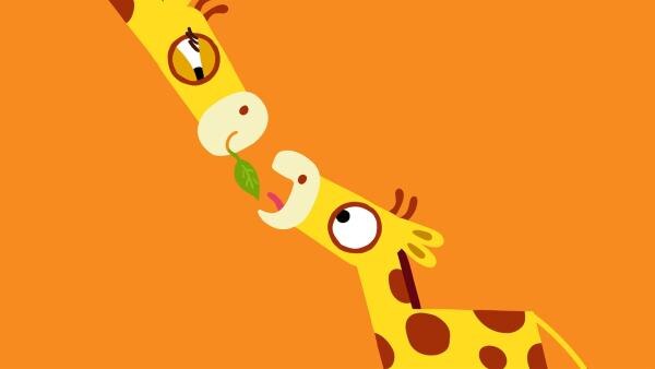 Endlich wird der kleinen Giraffe ein Blatt angeboten. Oder doch nicht? | Rechte: KiKA/SWR/Studio FILM BILDER/Julia Ocker