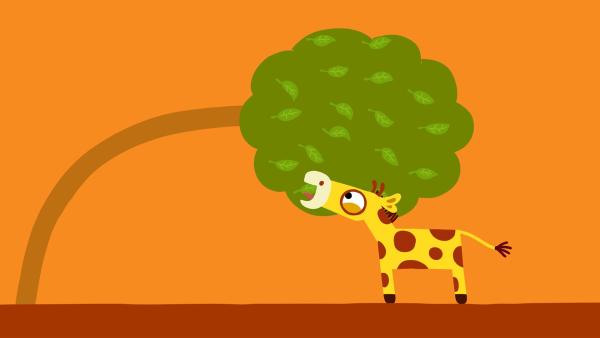 Dank des starken Windes bekommt die kleine Giraffe ein paar Blätter. | Rechte: KiKA/SWR/Studio FILM BILDER/Julia Ocker