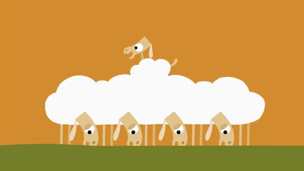Das kleine Schaf sucht nach einem Abenteuer. | Rechte: KiKA/SWR/Studio FILM BILDER/Julia Ocker