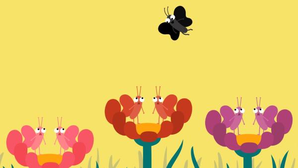 Die Motte bringt das geordnete Leben der Schmetterlinge gehörig durcheinander. | Rechte: KiKA/SWR/Julia Ocker
