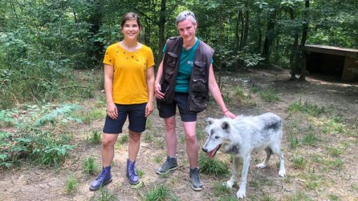 Spaziergang mit dem Wolf (Folge 2) | Im Wolf Science Center darf Anna (links) mit Tiertrainerin Lina zu den Wölfen ins Gehege gehen. [Lina Oberliessen].