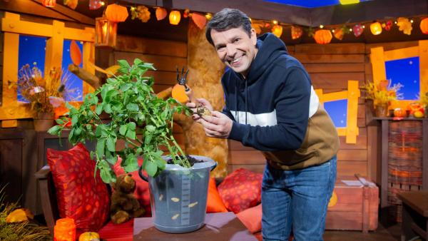 Juri pflegt im Baumhaus eine Kartoffelpflanze in einem Blumentopf.