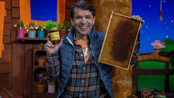 Juri hat sich Honig direkt bei einer Imkerin gekauft und hat eine Bienenwabe geschenkt bekommen. Er ist erstaunt, wie präzise diese Waben gebaut sind. | Rechte: KiKA/Josefine Liesfeld