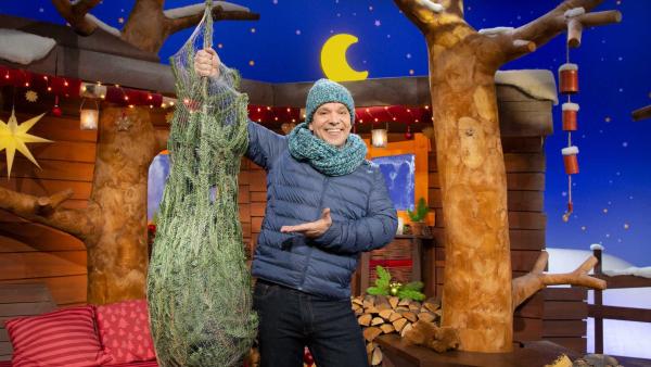 Juri hat einen Tannenbaum in der Hand. Der Tannenbaum ist in einem Netz verpackt.