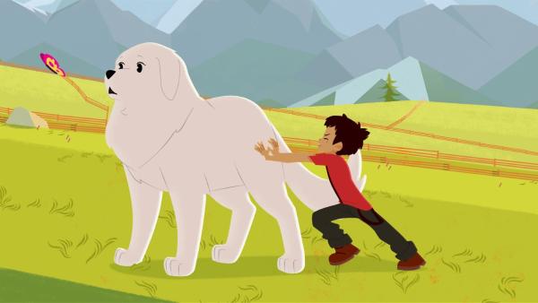 Warum weigert sich Belle, die Schafe zu hüten? | Rechte: ZDF/Gaumont Animation/PP Animation III Inc.
