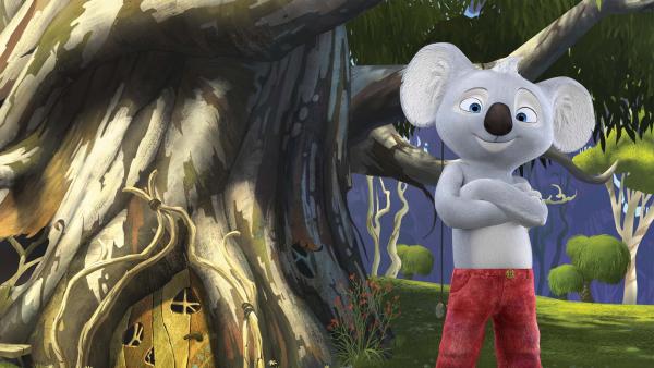 Die unglaublichen Abenteuer von Blinky Bill | Rechte: KiKA