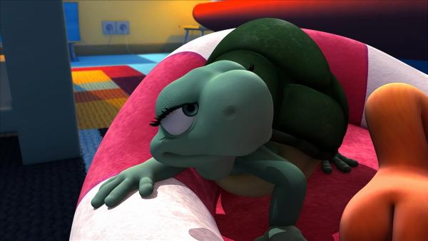 Schlafenszeit für kleine Schildkröten | Rechte: NDR/Studio Boule et Bill