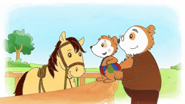 Bobo und Opa machen Bekanntschaft mit einem Pony. | Rechte: JEP ANIMATION/WDR