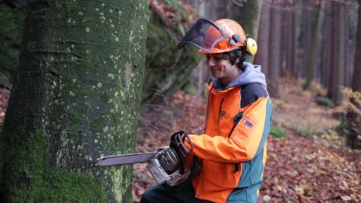 Checker Can | Rechte: BR/megaherz gmbh/Hans-Florian Hopfner Der Holz-Check / Checker Can mit einer Motorsäge am Baum
