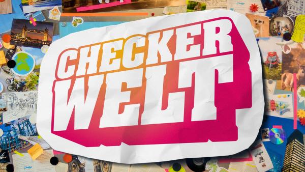 Logo der Checkerwelt | Rechte: BR