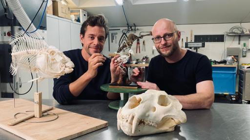Der Knochen-Check | Tobi (links) präpariert zusammen mit Ausstellungspräparator Jan Tierknochen.