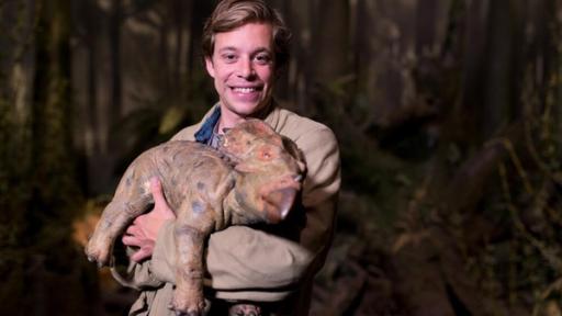 Der Dino-Check / Tobi mit dem Baby-Dino-Roboter Gondi