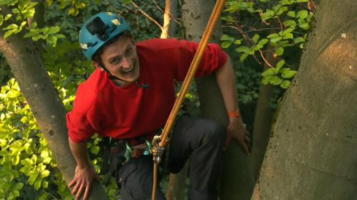 Vom Urwald lernen | Checker Julian klettert auf einen riesigen Baum.