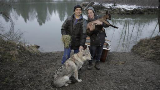 Wer frisst wen?! / Checker Tobi mit Ziegenbauer Günther Gebauer, dem Wolf, dem Zicklein und dem Heu | Bild: BR / megaherz gmbh / mathias hagn