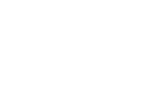 Logo "Checkpoint"