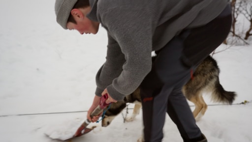 Max steht im Schnee mit einer Schaufel in den Händen. Hinter ihm ist ein Hund zu sehen. 