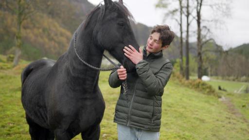 Max steht neben einem dunklen Pferd auf der grünen Wiese. Er schaut das Pferd an, hält es an der Leine und streichelt sein Maul.