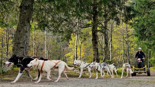 Viel Gegenwind! (S01/E07) | Volle Fahrt voraus: Auf der Huskyfarm darf Emilia das erste Mal in ihrem Leben ein Hundegespann steuern.