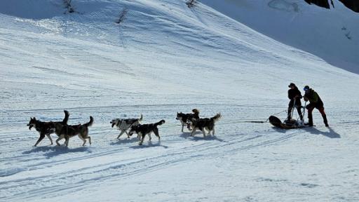 Auf Husky-Tour (S01/E16) | Bergauf muss schon mal mitgeholfen werden. Um den Hunden die Arbeit zu erleichtern, müssen die Schüler auch selbst ein bisschen mit anschieben.