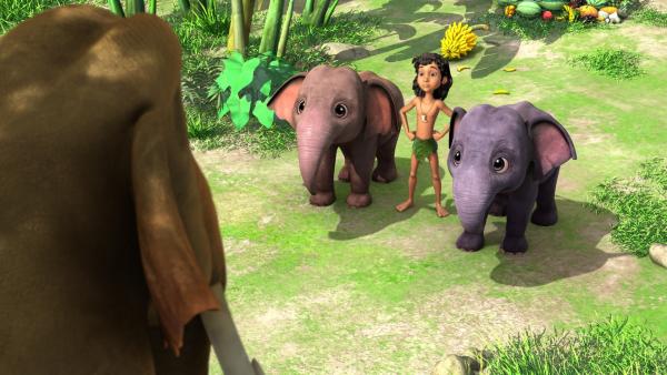 Hathi (v.), der Chef der Elefanten, beauftragt Mogli (m.) und seine Elefantenkinder Appu (l.) und Hita (r.), eine schöne reife Mango im Dschungel zu suchen und mitzubringen. | Rechte: ZDF/DQ Entertainment