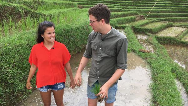 Auf den Reisterrassen helfen Louisa und Philipp einem Bauern, die kleinen Reispflanzen einzusetzen. | Rechte: ZDF/Swantje Cichowlas