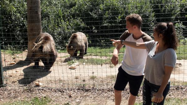 Louisa und Philipp besuchen in Rumänien ein Bärenreservat. Dort werden kranke Bären gepflegt. | Rechte: ZDF/Georg Bussek