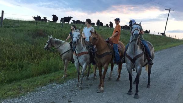 Louisa und Philipp reiten in Iowa auf Pferden | Rechte: ZDF