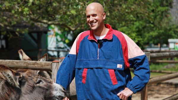 Bei den Eseln im Krefelder Zoo trifft Michelle Milow und befragt ihn zum Song „ASAP“. | Rechte: Radio Bremen/Helena Brinkmann