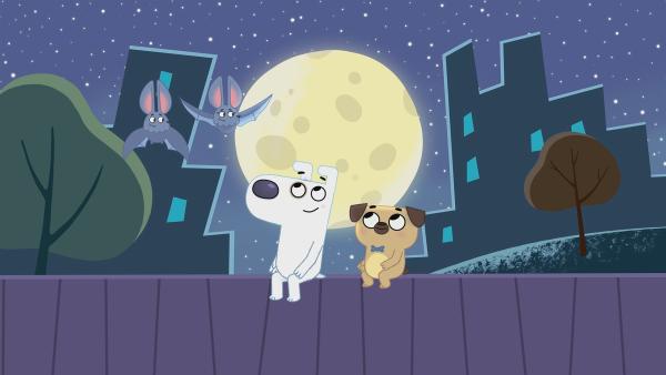 Zwei Fledermäuse zeigen Dog und Puck, was man verpasst, wenn man nachts schläft. | Rechte: KiKA/Dog Loves Productions Limited 2020