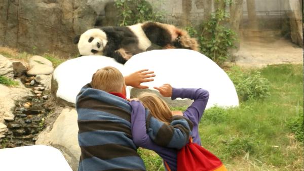 Jacob und Josefine sehen den Panda. | Rechte: SWR/Tellux Film