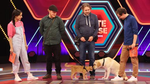 Film-Tiertrainer Marco Heyse zu Gast | Rechte: KiKA Film-Tiertrainer Marco Heyse zu Gast | Rechte: KiKA