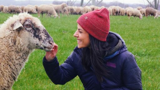 Clarissa zu Besuch beim Schäfer | Rechte: KiKA