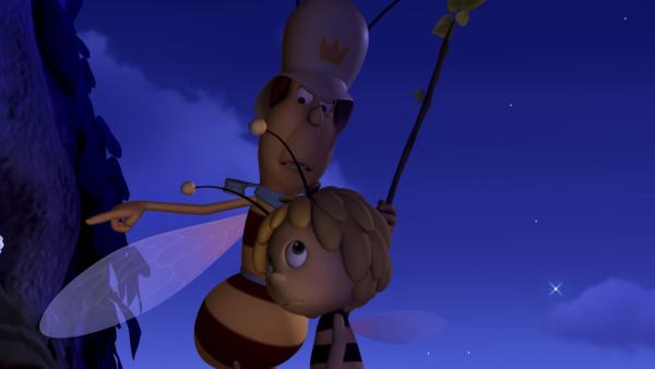 Maja möchte aus dem Bienenstock abhauen. | Rechte: ZDF/Studio100 Animation