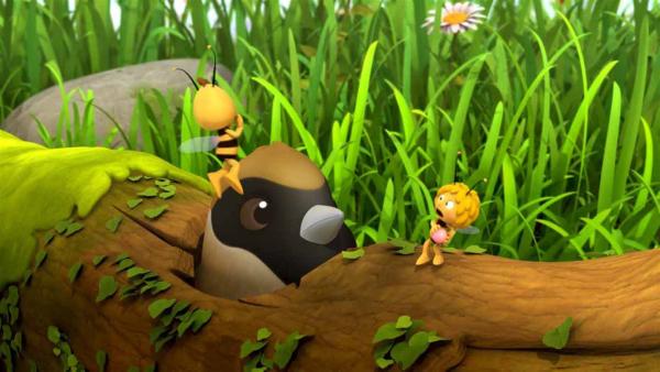 Maja und Willi spielen mit einer Beere, die ein Vogel auch gerne hätte. | Rechte: ZDF/Studio100 Animation