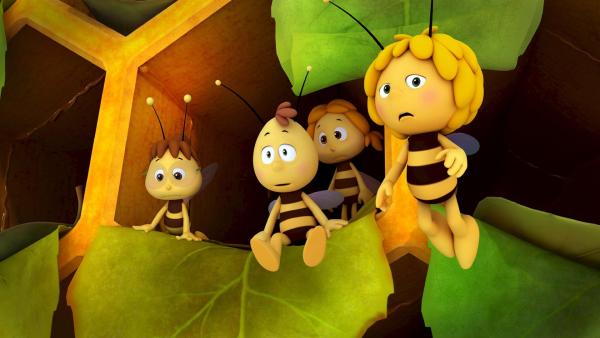 Es gibt kaum noch Platz im Bienenstock. | Rechte: ZDF/Studio100 Animation