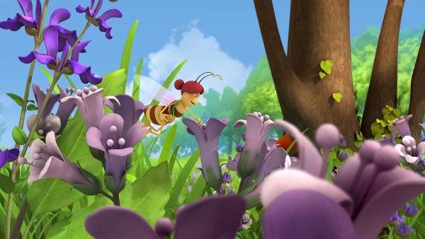 Eine Wildbiene sammelt Pollen. | Rechte: ZDF/Studio100 Animation