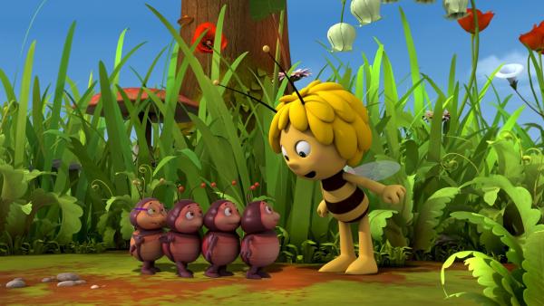 Maja findet die kleinen Feuerkäfer niedlich. | Rechte: ZDF/Studio 100 Animation
