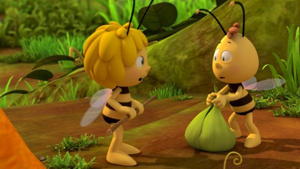 Maja und Willi auf der Suche nach Spinnenmedizin. | Rechte: ZDF/Studio100 Animation
