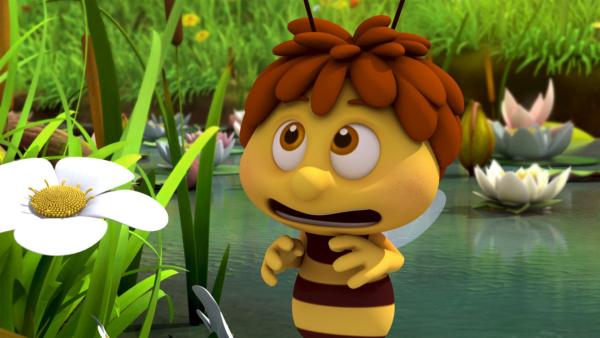 Die Biene Edgar ist ein Angsthase. | Rechte: ZDF/Studio100 Animation