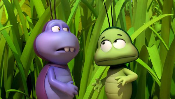 Die Mistkäfer Ben und Rolf sind misstrauisch. | Rechte: ZDF/Studio 100 Animation