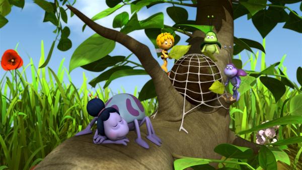 Thekla möchte im Schlaf Insekten fangen. | Rechte: ZDF/Studio100 Animation