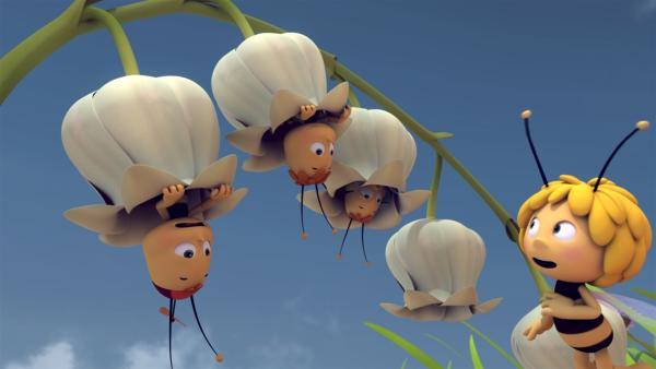 Die Bienchen fürchten sich, weil sich der Himmel verdunkelt. | Rechte: ZDF/Studio100 Animation